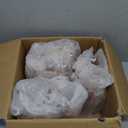 F.T. SPKLNG PNK GRPFRT (8 X 16.9 OZ