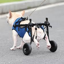 Adjustable Small Dog Wheelchair  Mobility Aid for Disabled Pets,Small Dog Wheelchair for Back Legs， Leg Brace & Hip Support (Small)
