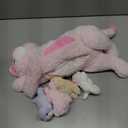 5 Pieces Cat Stuffed Animals with Babies Inside Belly - 1 Mommy Stuffed Cat with 4 Kittens - Stuffed Kitty Plush Toys for Kid Age 3-8, Gift Ideal for Christmas, Valentine's, Birthday (Pink)