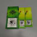 Taxidermy Spider, 3pcs Insect Spiders Specimens in Resin for Closer-Look & Study in Safe Healthy, Novelty Fun & Educational for Classroom Teaching, Home Office Display (XS Size x2 + M Size x1)