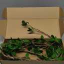Htmeing Artificial Eucalytus Green Branches Faux Ficus Twig Home Office Shop Decoration (2PCS)