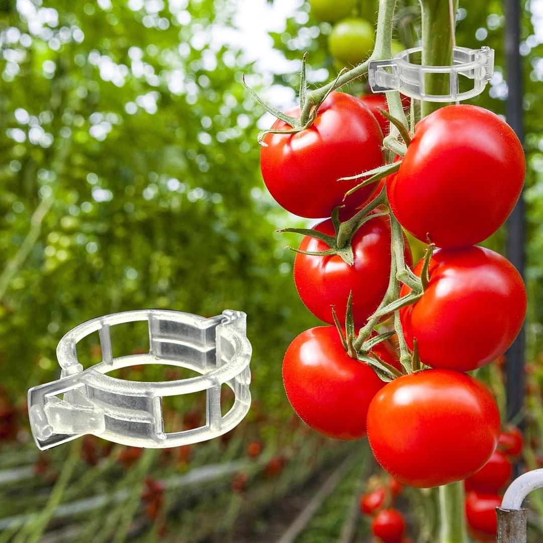 Dalzom 300Pcs Tomato Clips, Plastic Trellis Clips Plant Support Clips, Plant Clips for Support, Grape Vine, Tomato Vine, Vegetables Plants, Garden Clips to Grow Upright Makes Plants Healthier (Translucent)