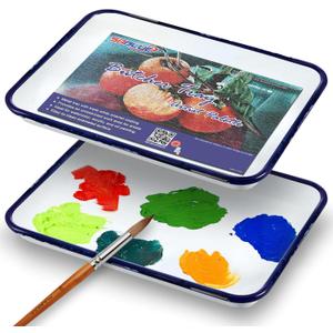 SABLUE 2 Pcs White Enamel Butcher Tray Palettes 7.5" x 11" Triple Coated Tray Painting Mixing Color Theory Classic Rectangular Metal Serving Art Supplies Food Storage Home Organization S0051