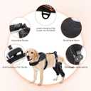 Adjustable Knee Brace for Dogs Back Leg, Hinged Dog Knee Brace for Torn ACL Hind Leg, Dog Knee Brace for Luxating Patella, Dog Brace for Back Leg Support M