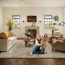 Machine Washable Rugs for Living Room: 5x7 Area Rugs for Bedroom Vintage Stain Resistant Non Slip Low Pile Lightweight Boho Carpet for Kitchen Dining Room Farmhouse Kids Room Nursery, Brown And Grey