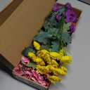 Mutcolor 8 Bundles Artificial Silk Daisy Flower Fake Outdoor Bouquet Artificial Bulk Bouquet UV Protection for Garden Front Porch Planter Home Indoor Table Top Vase Decoration (Multi-Color)