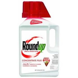Roundup Weed & Grass Killer Concentrate Plus 1/2 Gallon