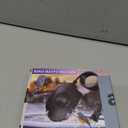 100W Bird Bath Heater, Birdbath Heaters for Outdoor Bird Bath Water Heater in Winter Submersible Thermostat Control, Heated Bird Bath Deicer for Outside Bird Chicken Poultry Livestock (Black)