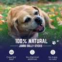 Devil Dog Pet Co. Bully Sticks  12 Inch, 10 Pack, Standard Sized Dog Chews, 100% Natural, Single Ingredient, Free-Range Grass-Fed Beef  Long Lasting, Rawhide-Free Treats for Dogs