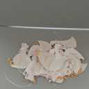 TaoBary 2 Set Bow Silly Goose Birthday Banner One Silly Goose Party Decoration for Farm Animal Baby Shower Birthday Party Decorations(Pink)