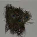 Piokio 50 pcs Peacock Feather in Bulk 10-12 inch(25-30 cm) Bulk for DIY, Craft Vase Wedding Home Party Christmas Day Peacock Feathers Decoration