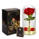 HOMESEASONS Pre Lit Rose for Her - Valentine's Day, Anniversary, Birthday, Christmas, Red
