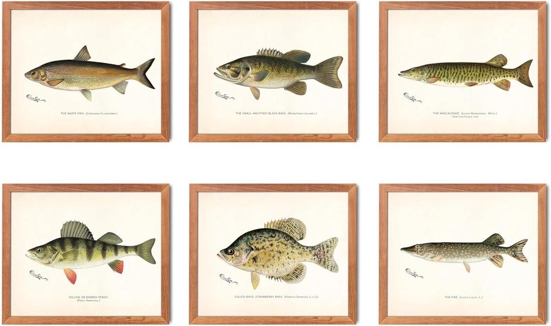 Hunt Club FreshWater Fish Wall Art Decor - Set of 6 Posters // Vintage Rustic Prints // Gift For Fisherman for Hunter // Great Lake House or Cabin or Man Cave Decor // For Father ( 8x10) 6_2_st1
