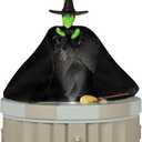 Hallmark Keepsake Christmas Ornament 2025, The Wizard of Oz I'm Melting! I'm Melting! with Light, Sound and Motion, Movie Gifts