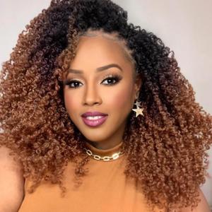 Aksice 14 Inch 8 Packs Yanky Twist Crochet Hair for Women Pre-looped Mini Twist Hair Bohemian Passion Twist Crochet Hair Boho Crochet Braids Synthetic (1B/4/30)