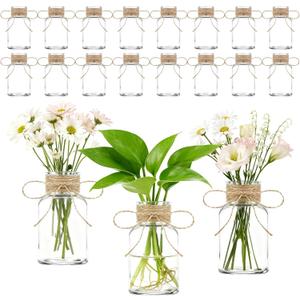 16 Pack Vintage Glass Vases for Flowers Vintage Small Clear Bud Vase for Centerpieces Farmhouse Flower Vases Mini Crystal Decorative Bottle with Hemp Rope Bows for Wedding Parties Home Decor