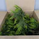 N&T NIETING 9ft Christmas Cedar Garland with Realistic Soft Thickness Pine, Artificial Green Faux Cedar Pine Garland for Fireplace Mantle Fireplace Indoor Outdoor Holiday Party Home Decoration