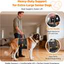 LOOBANI Dog Sling for Large Dogs Hind Leg Support, Portable Dog Lift Harness for Back Legs, Comfortable Leg Support Assistance for Elderly Dogs with Hip, ACL Brace, Senior, Injured