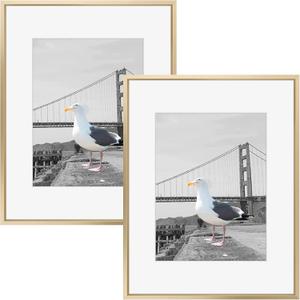 Frametory, 16x20 Metal Picture Frame with Mat for 11x14 Picture & Real Glass, Aluminum Photo Frame Collection (Gold, 2 Pack)