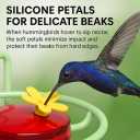 Dreamdrawer Window Hummingbird Feeder, Small Hummingbird Feeder for Outdoors with Strong Suction Cup - Metal Base & 6 Feeding Ports, Easy to Clean and Refill