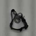 Mighty Paw Martingale Collar with Buckle