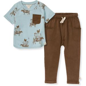 Burt's Bees Baby Baby Baby Boys' Shirt and Pant Set, Top & Bottom Outfit Bundle (2T)