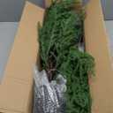 4FT Pre-Lit Artificial Norfolk Pine Christmas Tree  Realistic Potted Tree with 100 LED Lights & 8-Function Battery Box, Pre-Assembled Faux Holiday Dcor for Indoor Use (2)