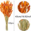 CISDUEO 120pcs Dried Bunny Tails Flowers Orange Lagurus Ovatus Tail Dried Flowers Pampas Grass Natural Dried Floral Arrangement for Boho Fall Decor Autumn Wedding DIY Farmhouse Christmas Halloween