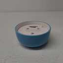 Everyday Living 9 OZ Citronella Bowl Blue