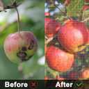 6-Pack 3.3ft x 2.3ft Drawstring Fruit Protection Bags and Garden Netting Covers, Ideal for Tomato Barrier, Vegetable and Flower Plants