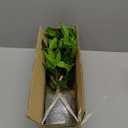 Briful Fake Plants 18.8'' Tall Artificial Plants Indoor Decor, Faux Bay Laurel Plant with Flowers in Black Pot, Floor Plant Houseplant for Home Farmhouse Outdoor Patio Porch Decorations