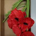10PCS Red Artificial Poppy Flowers Fake PU Floral Stems Real Touch Silk Like Wedding Memorial Day Decor Bouquet Centerpieces Home Arrangements