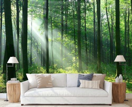 Jdayda Sunshine Green Forest Wallpaper Natural Woodland Landscape Wall Mural for Bedroom Living Room (Not Self-Adhesive)