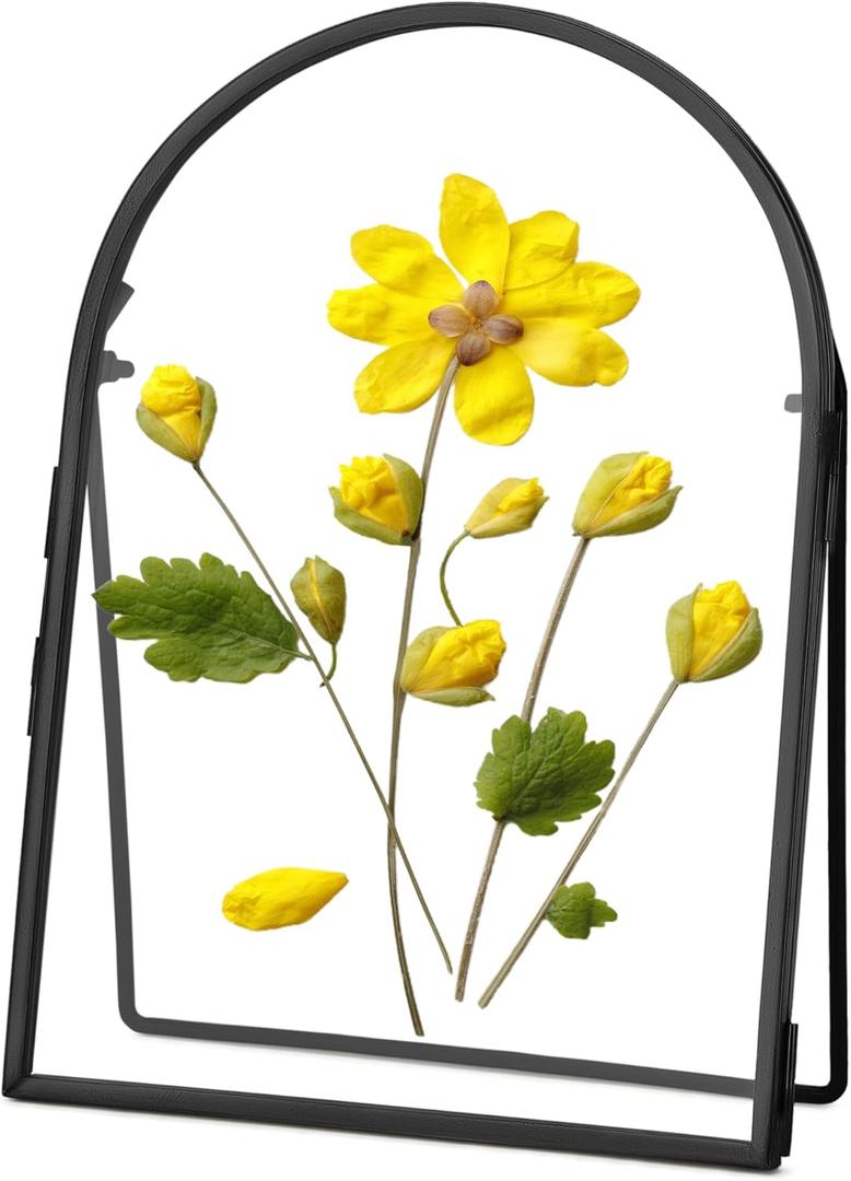 REDHUGO Double Glass Frame for Pressed Flowers Handmade, Metal Floating Picture Frame for Pressed Flower, Tabletop Display, Brass, ArcShaped, Black, 5x7 inches (FRAME ONLY)