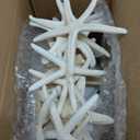 20 PCS Small Starfish for Crafts 2" to 4" Natural Starfish Decor Bulk, for Wedding Beach Theme Decor Home DIY Crafts Decor Christmas Tree Starfish Ornaments