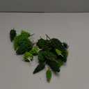 BAENRCY 32pcs 0.79-6.30 inch Model Trees Mixed Size Miniature Trees Model Train Scenery Architecture Trees Model Scenery with No Stands(All Green)