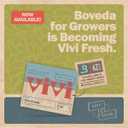 Boveda 62% Two-Way Humidity Control Packs For Storing oz Size 4 10 Pack Moisture Absorbers for Small Storage Containers Humidifier Packs Hydration Packets in Resealable Bag