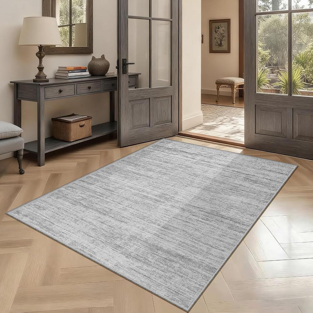 Washbale Rugs 3x5 Ultra Soft Area Rug, Non Slip Indoor Entryway Rugs, Stain Resistant Area Rugs for Living Room Dining Bedroom，Modern Abstract Home Decor Small Rug