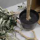 Realead 6FT Artificial Olive Tree Indoor with Realistic Appearance