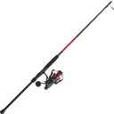 Penn Fierce IV Spinning Reel and Fishing Rod Combo, 6000 Size Reel - 9' - Medium Heavy - 2pc