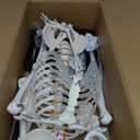 breesky Human Skeleton Model for Anatomy- Life Size Medical Human Skeleton Model with Nervous System 70.8 in with Rolling Stand for Medical Study and Display 3 Posters