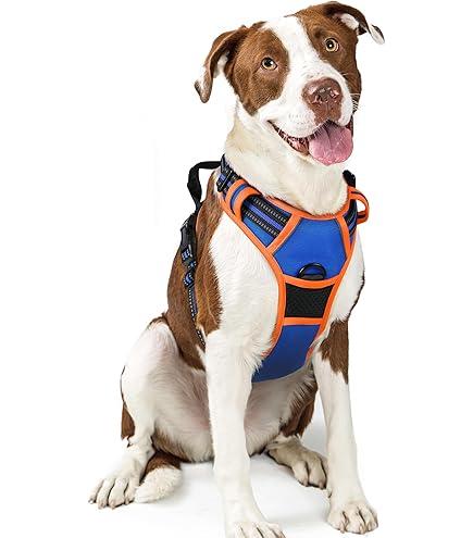 rabbitgoo Dog Harness No Pull with 2 Leash Clips, Adjustable Soft Padded, Reflective Oxford No Choke Pet Vest with Easy Control Handle for Large Dogs, Blue & Orange, L