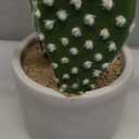 DILATATA 13' Small Fake Cactus Plant Potted 'Prickly Pear Cactus' Faux Cacti for Home Garden Office Decor Housewarming Gifts