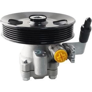Power Steering Pump 571002E100 with Pulley Compatible with Hyundai Tucson 2005-2009 Kia Sportage 2005-2010 2.7L V6 Replaces 21-5449 96-05449 990-0789 N990-0788 5837N 6109PX
