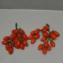 Artificial Tomato String, 2 Pack Simulation Artificial Lifelike Fake Fruits Vegetable Photography Props Home Kitchen Harvest Decoration (Red Tomato, 2pcs)