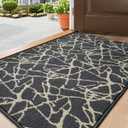 DEXI Front Door Mat for Entryway, Dirt Trapper Non Slip Absorbent Entry Rugs, Low Profile Washable Abstract Welcome Doormat for Inside Entrance Floor, 24 x36, Dark Grey