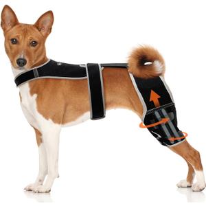 Adjustable Dog Knee Brace for Hind Leg - Double Leg Orthopedic Support with 4 Metal Stabilizers, Vest Design Dog Leg Brace for ACL/CCL Tear, Luxating Patella, Arthritis & Post-Surgery Rehab (L)