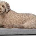 Diggs Bolstr Orthopedic Dog Bed with Headrest - Dog Crate Bed for Evolv Crate & Other Standard Pet Kennels - Durable & Comfortable - (Intermediate)