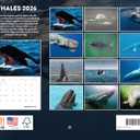Whale Calendar 2026 Monthly Wall Calender 12 Month | American Made In The USA
