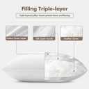 MIULEE 20x20 Pillow Inserts, Pack of 2 Down Feather Premium Throw Pillows with Cotton Fabric for Bed Couch Living Room Sofa